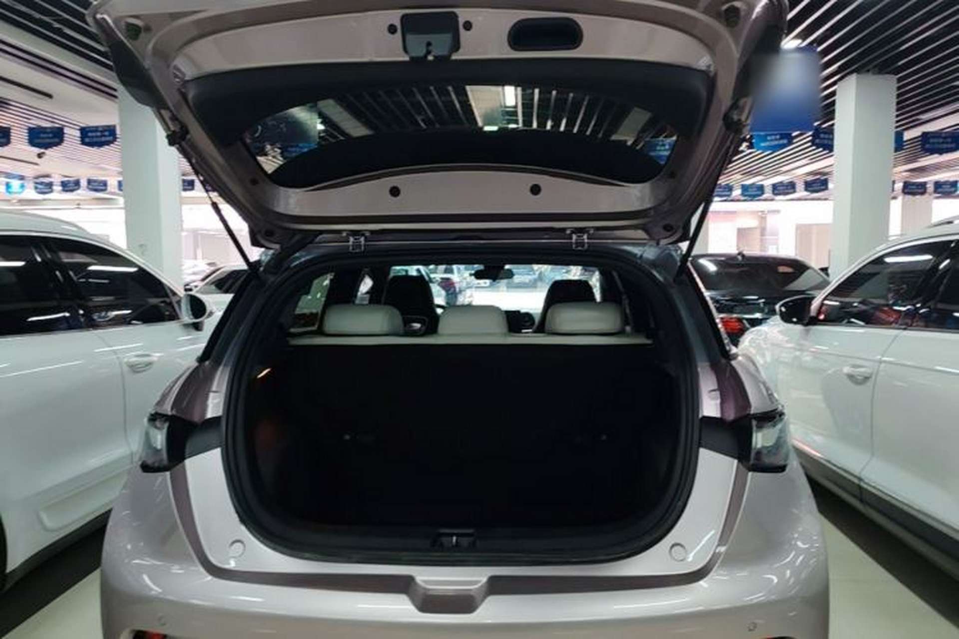 Used BYD Dolphin 2021 405 km Fashion Edition Trunk