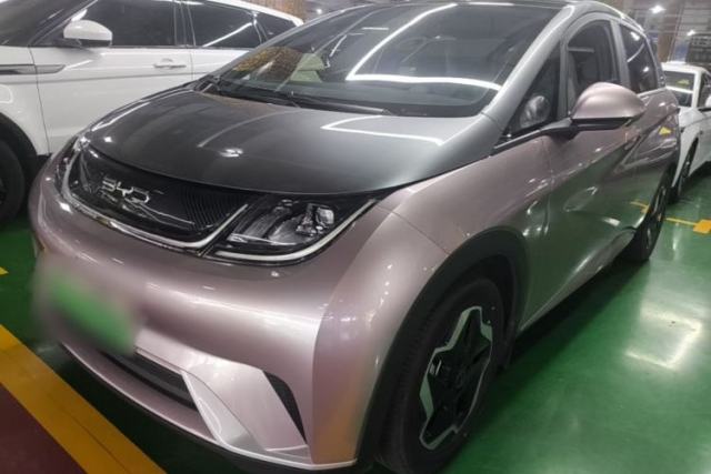 Used BYD Dolphin 2021 405 km Free Version