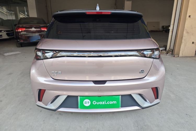 Used BYD Dolphin 2021 405 km Fashion Edition Rear