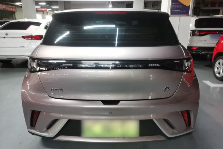 Used BYD Dolphin 2021 405 km Fashion Edition Rear
