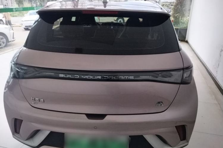 Used BYD Dolphin 2021 405 km Fashion Edition Rear