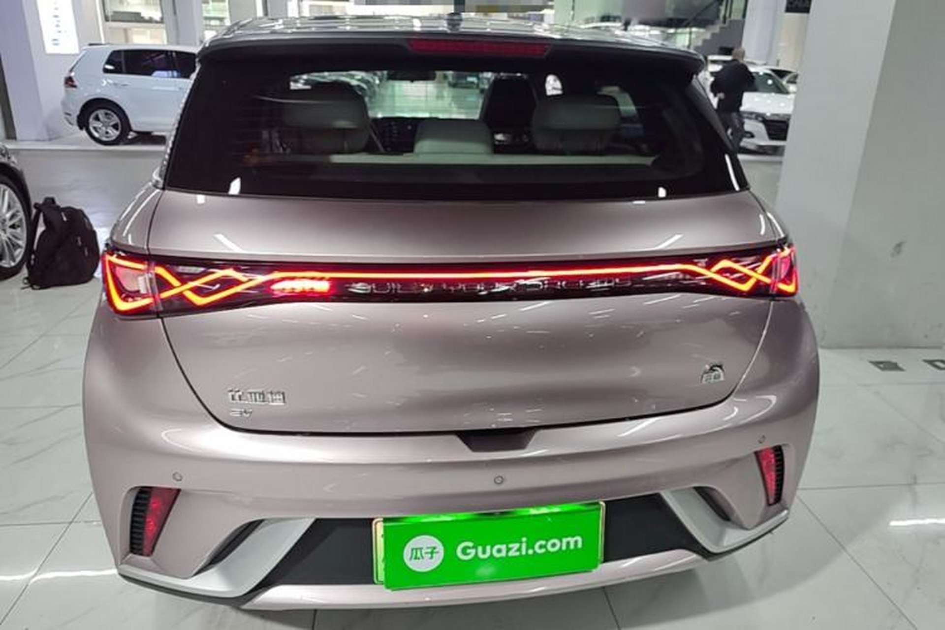 Used BYD Dolphin 2021 405 km Fashion Edition Rear