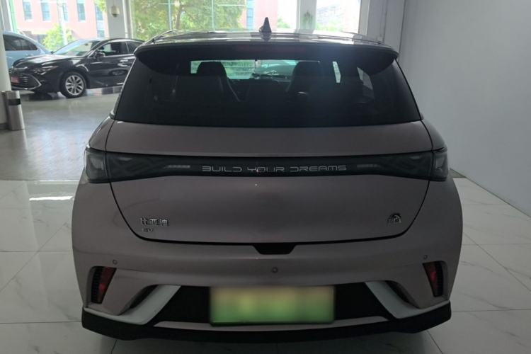 Used BYD Dolphin 2021 401km Knight Edition Rear
