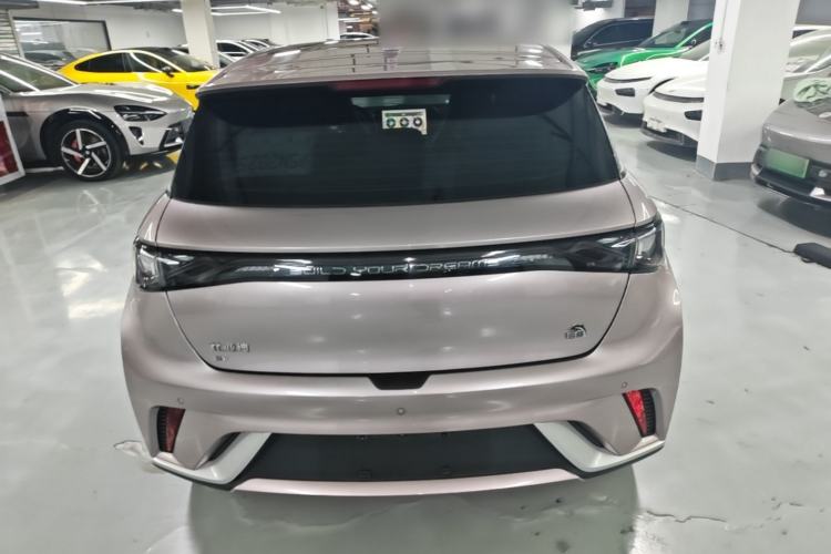 Used BYD Dolphin 2021 405 km Fashion Edition Rear