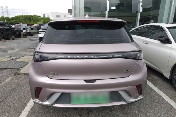Used BYD Dolphin 2021 405 km Fashion Edition Rear