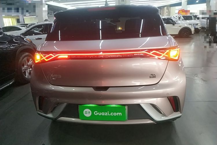 Used BYD Dolphin 2021 405 km Fashion Edition Rear