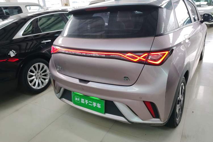 Used BYD Dolphin 2021 405 km Fashion Edition Rear