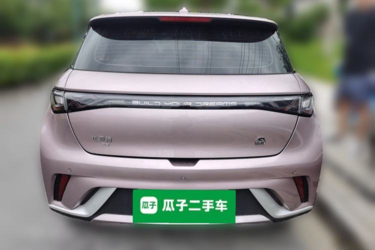 Used BYD Dolphin 2021 405 km Fashion Edition Rear