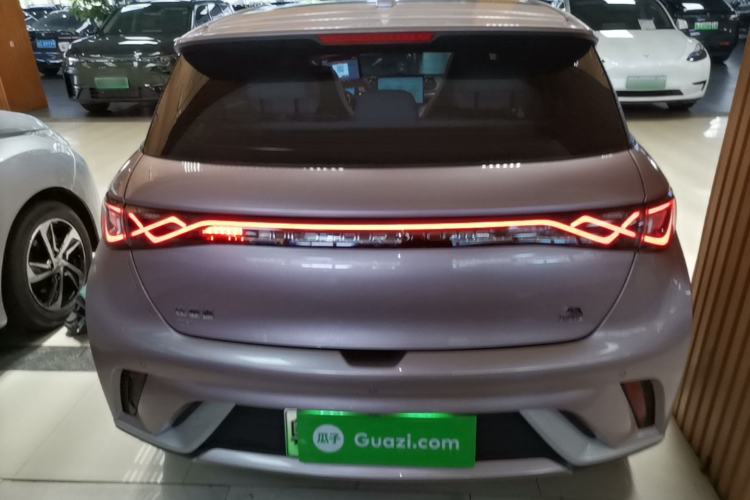 Used BYD Dolphin 2021 405 km Free Version Rear