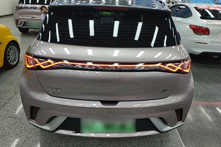 Used BYD Dolphin 2021 405 km Fashion Edition Rear