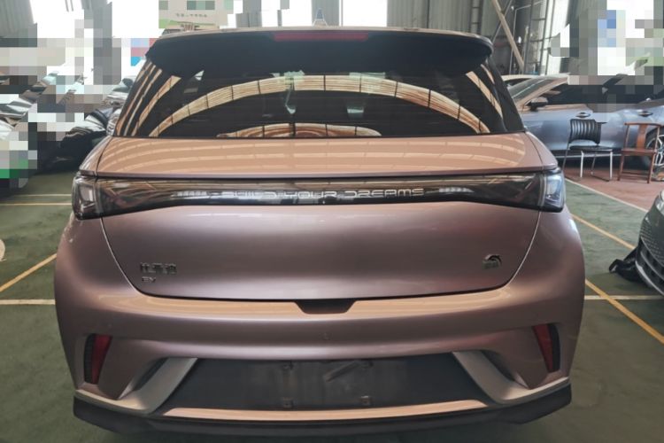 Used BYD Dolphin 2021 401km Knight Edition Rear