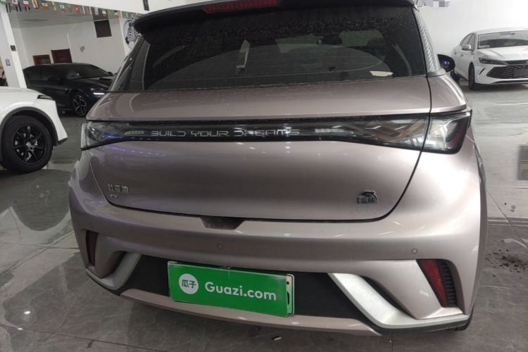 Used BYD Dolphin 2021 405 km Fashion Edition Rear