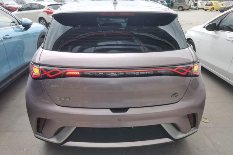 Used BYD Dolphin 2021 405 km Free Version Rear