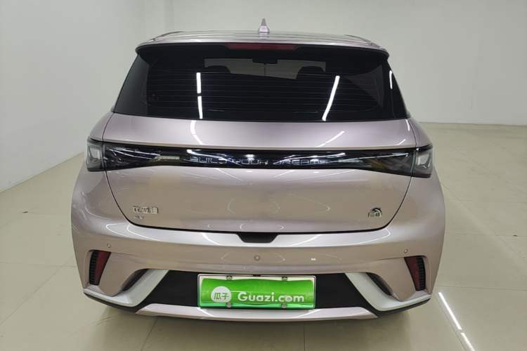 Used BYD Dolphin 2021 405 km Fashion Edition Rear