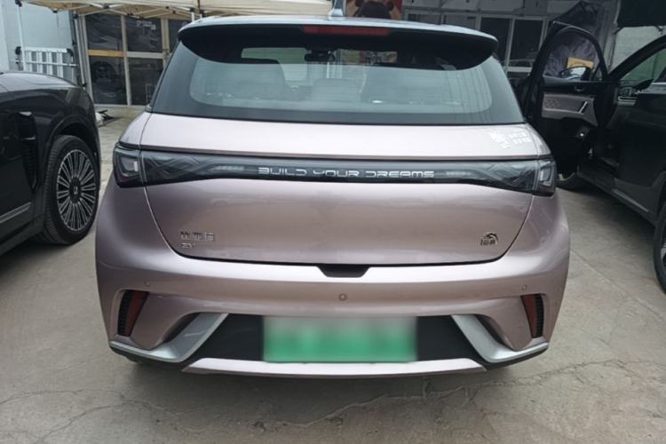 Used BYD Dolphin 2021 405 km Fashion Edition Rear