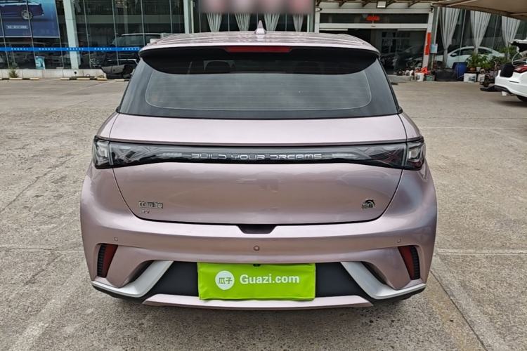 Used BYD Dolphin 2021 405 km Fashion Edition Rear