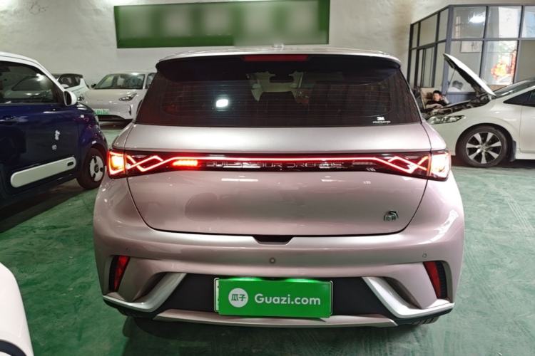 Used BYD Dolphin 2021 405 km Fashion Edition Rear