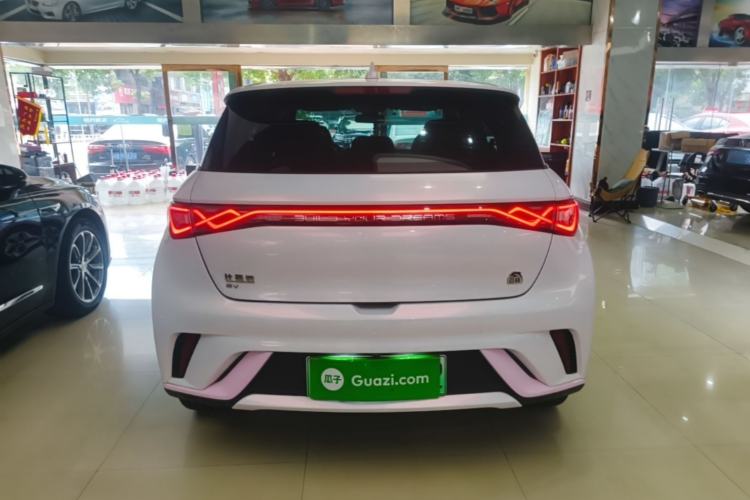 Used BYD Dolphin 2021 405 km Fashion Edition Rear