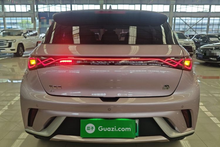 Used BYD Dolphin 2021 405 km Fashion Edition Rear