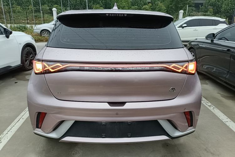 Used BYD Dolphin 2021 405 km Fashion Edition Rear