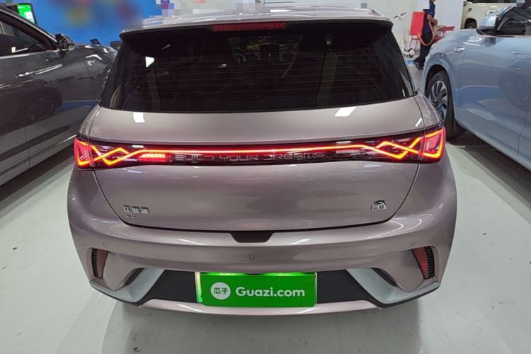 Used BYD Dolphin 2021 405 km Fashion Edition Rear