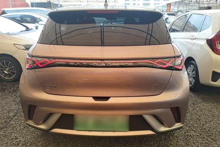 Used BYD Dolphin 2021 405 km Fashion Edition Rear