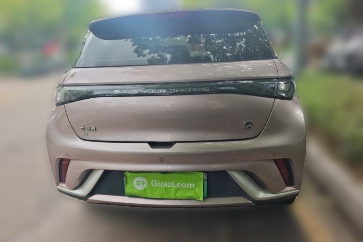 Used BYD Dolphin 2021 405 km Fashion Edition Rear