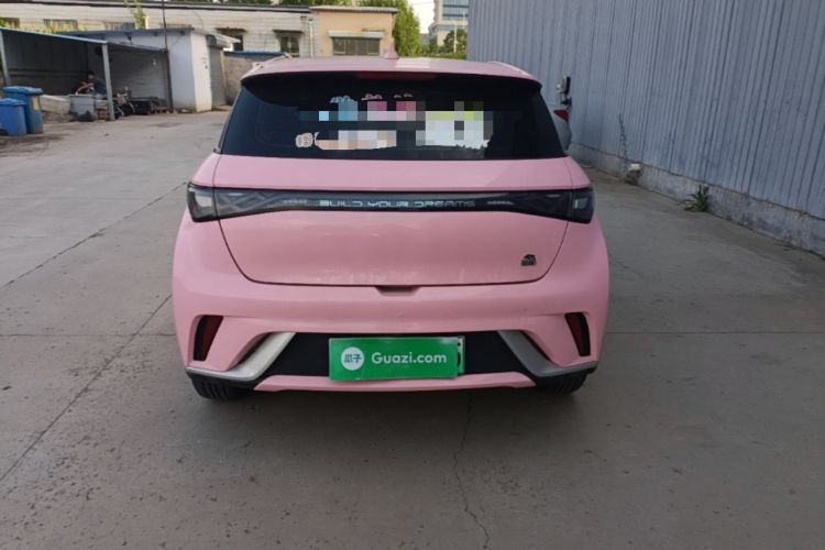 Used BYD Dolphin 2021 405 km Fashion Edition Rear