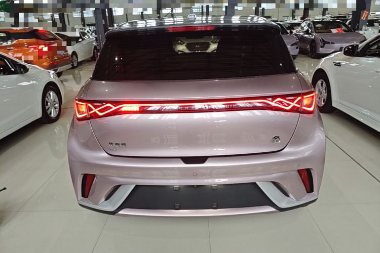 Used BYD Dolphin 2021 405 km Free Version Rear