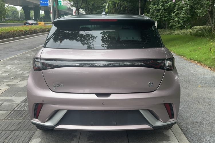 Used BYD Dolphin 2021 405 km Fashion Edition Rear