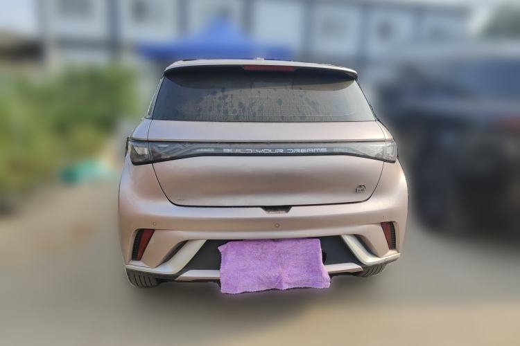 Used BYD Dolphin 2021 405 km Fashion Edition Rear