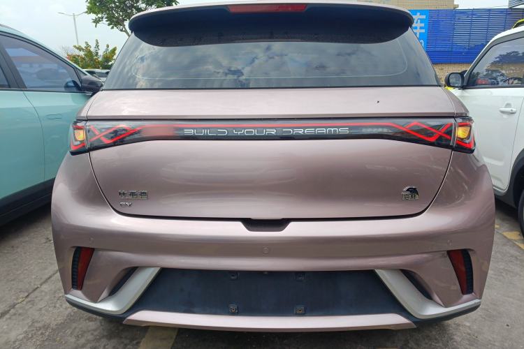 Used BYD Dolphin 2021 405 km Fashion Edition Rear