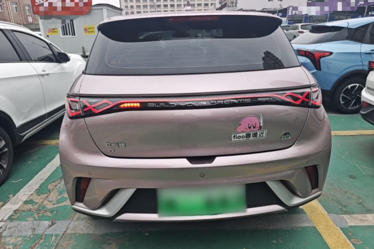 Used BYD Dolphin 2021 405 km Fashion Edition Rear