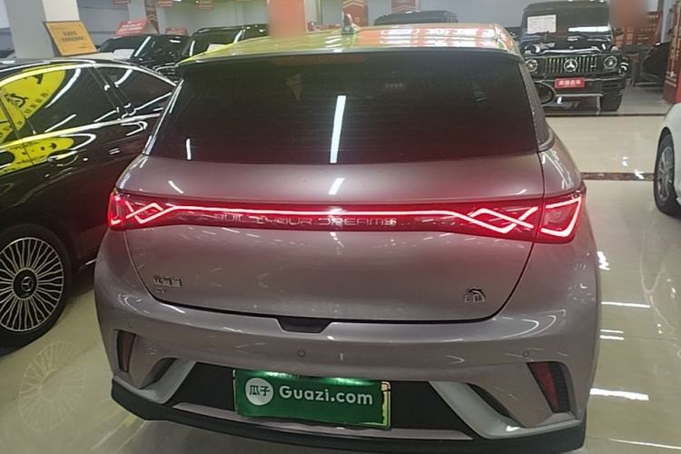 Used BYD Dolphin 2021 401km Knight Edition Rear