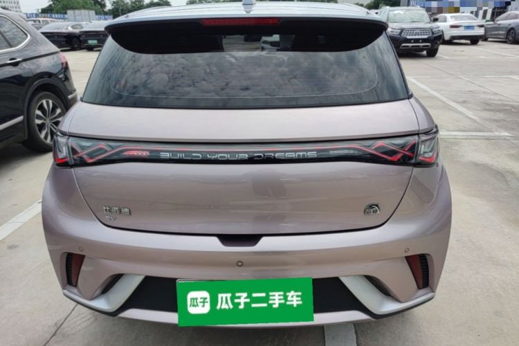Used BYD Dolphin 2021 405 km Fashion Edition Rear