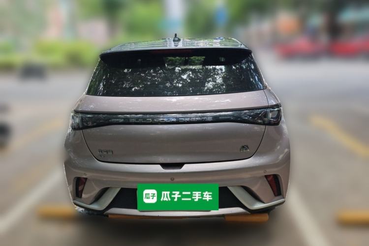 Used BYD Dolphin 2021 405 km Fashion Edition Rear