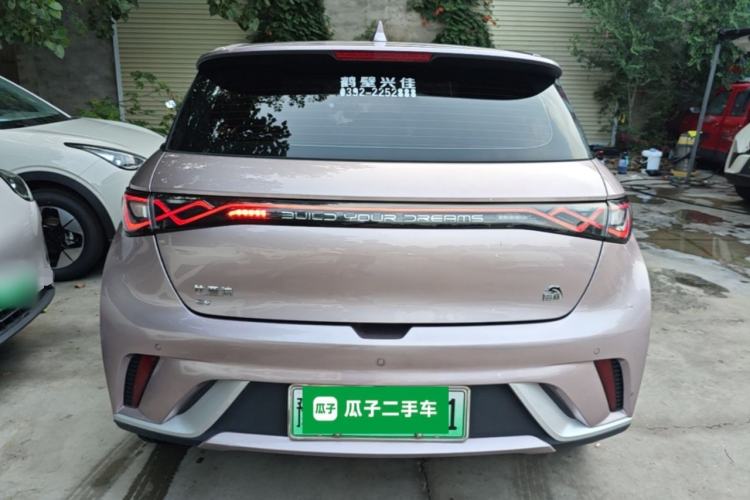 Used BYD Dolphin 2021 405 km Fashion Edition Rear