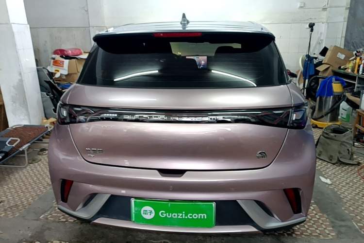 Used BYD Dolphin 2021 405 km Fashion Edition Rear