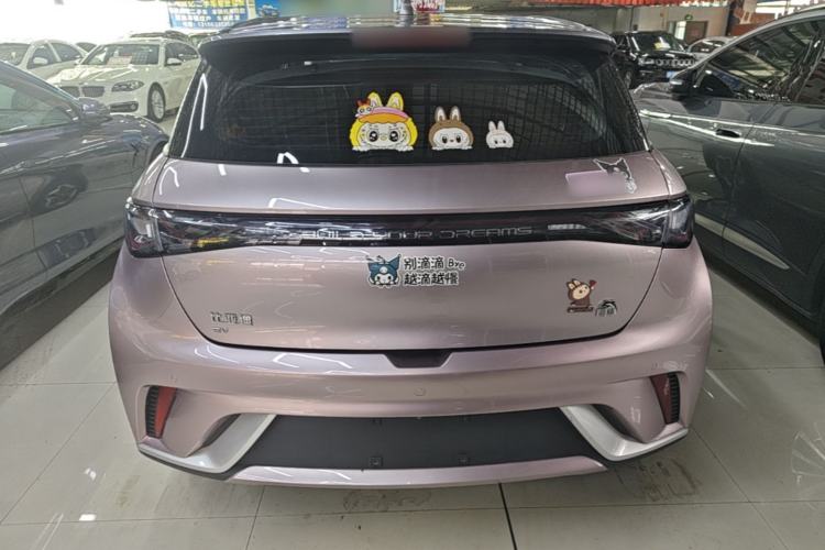 Used BYD Dolphin 2021 405 km Fashion Edition Rear