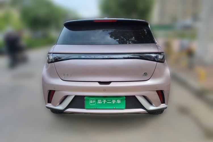Used BYD Dolphin 2021 405 km Fashion Edition Rear