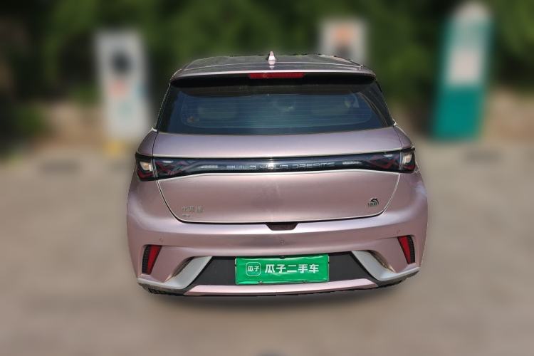 Used BYD Dolphin 2021 405 km Free Version Rear