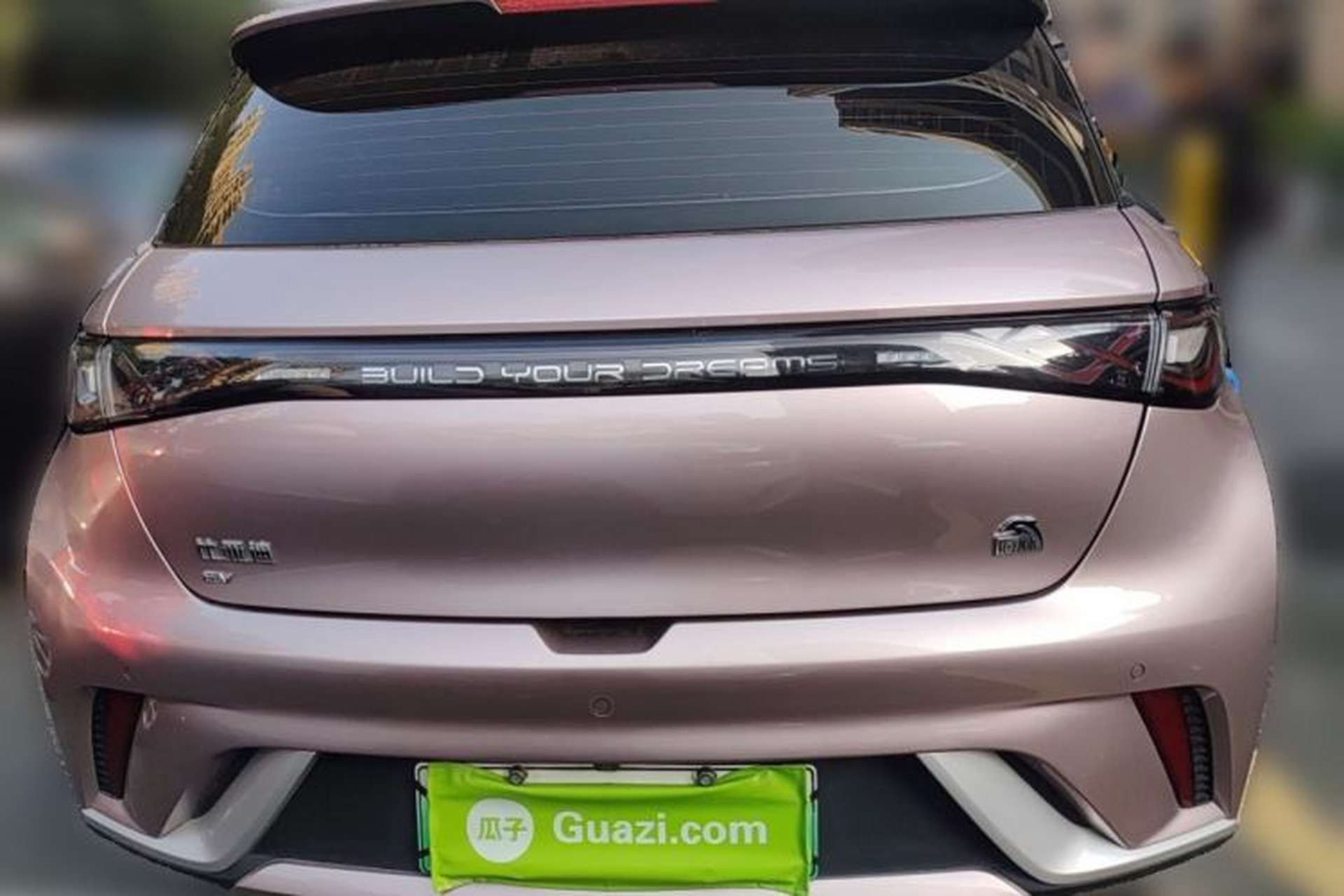 Used BYD Dolphin 2021 405 km Free Version Rear