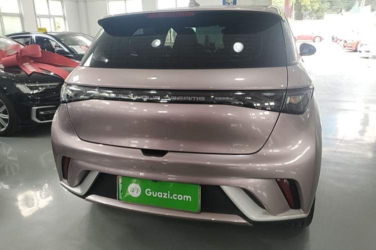 Used BYD Dolphin 2021 405 km Fashion Edition Rear