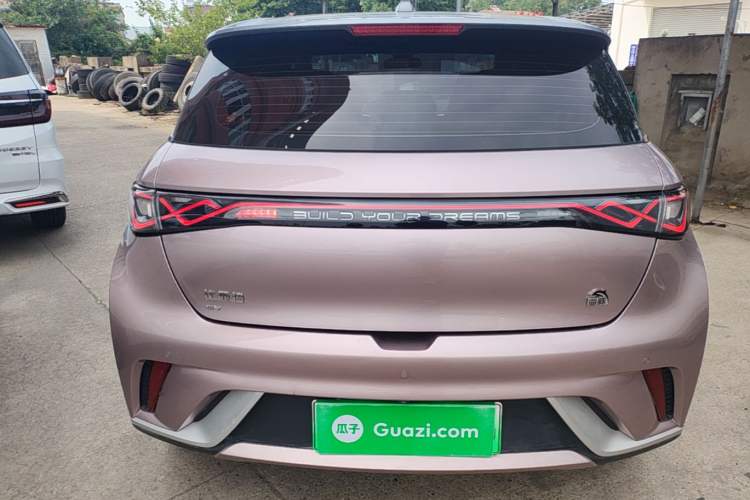 Used BYD Dolphin 2021 405 km Fashion Edition Rear