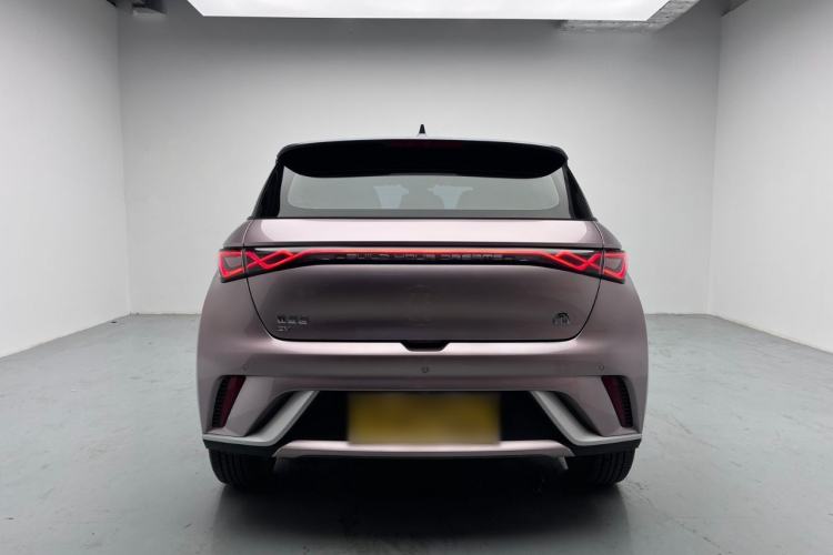 Used BYD Dolphin 2021 405 km Fashion Edition Rear