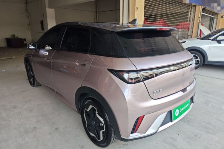 Used BYD Dolphin 2021 405 km Fashion Edition Rear Left 45 Deg
