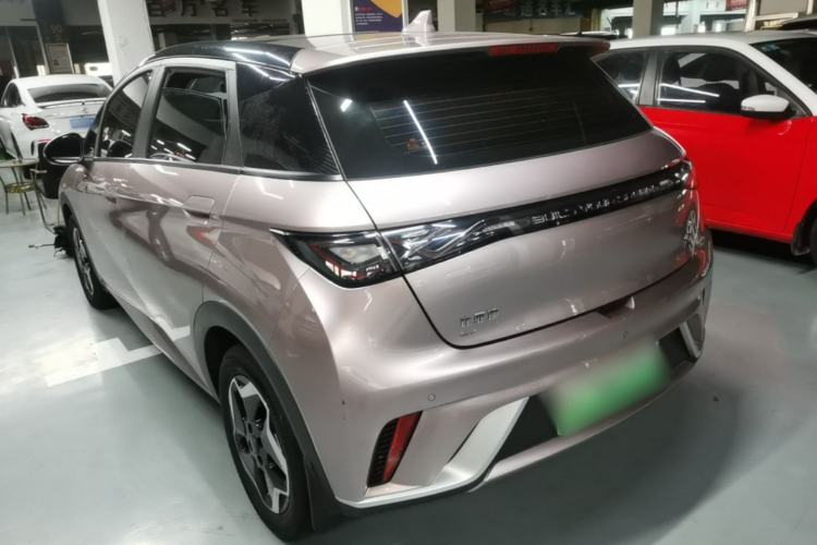 Used BYD Dolphin 2021 405 km Fashion Edition Rear Left 45 Deg