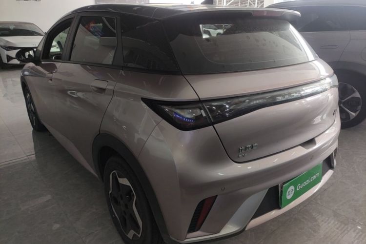 Used BYD Dolphin 2021 405 km Fashion Edition Rear Left 45 Deg