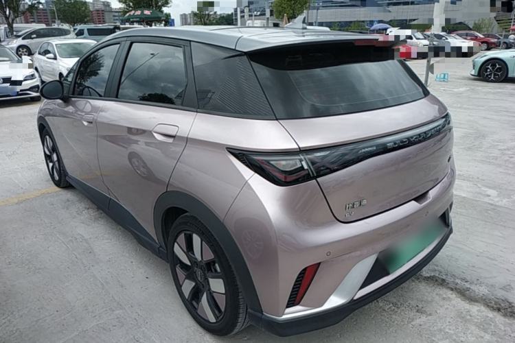 Used BYD Dolphin 2021 401km Knight Edition Rear Left 45 Deg