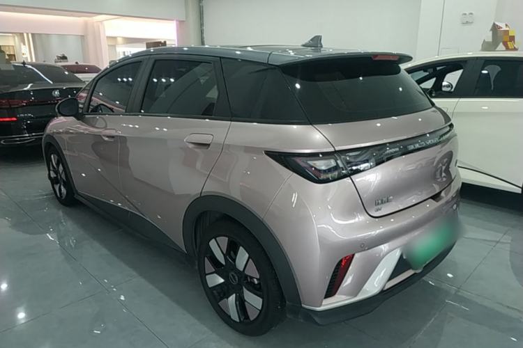 Used BYD Dolphin 2021 401km Knight Edition Rear Left 45 Deg